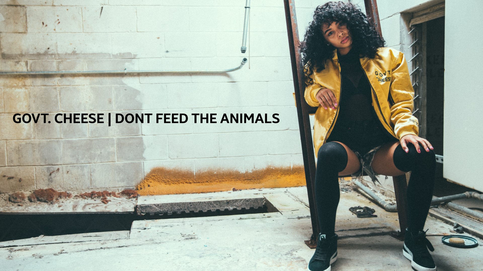 GOVT. CHEESE | DONT FEED THE ANIMALS